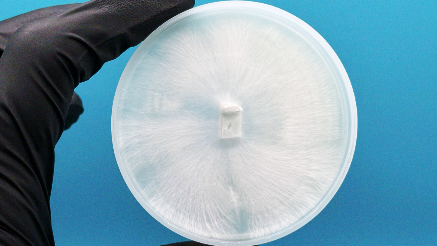 Starfrost Research Plate