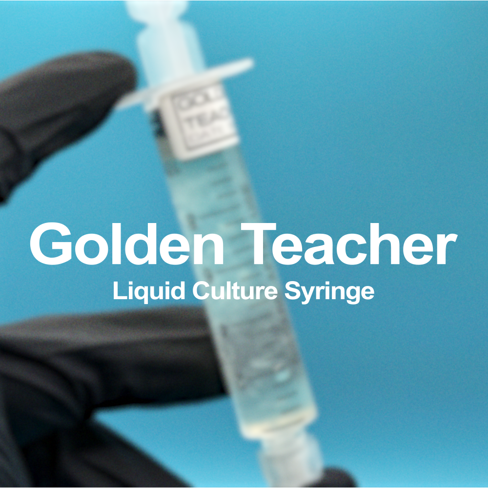 Golden Teacher Syringe